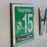 Yearly State Registration Sticker Frame Emblem Set 4" x 3"